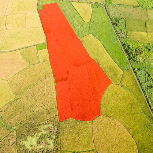 Sensoriamento Remoto